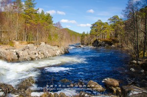 Dog Falls